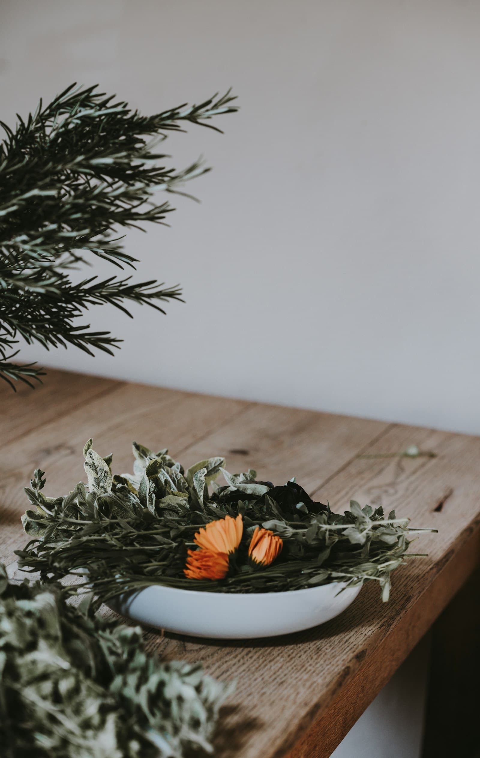 Natural botanical ingredients used in BioLife supplements